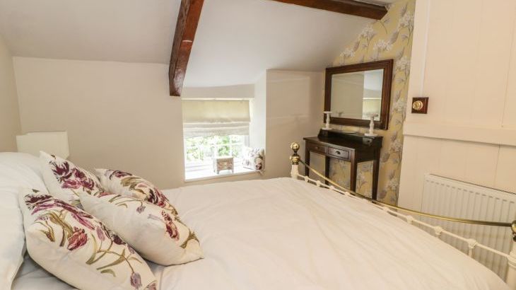 Plas Mawr - Photo 13