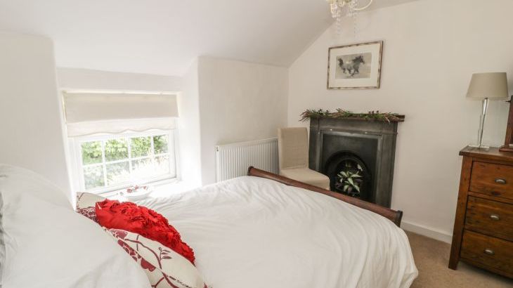 Plas Mawr - Photo 14