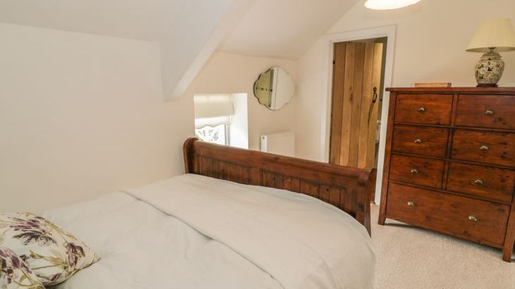 Plas Mawr - Photo 16