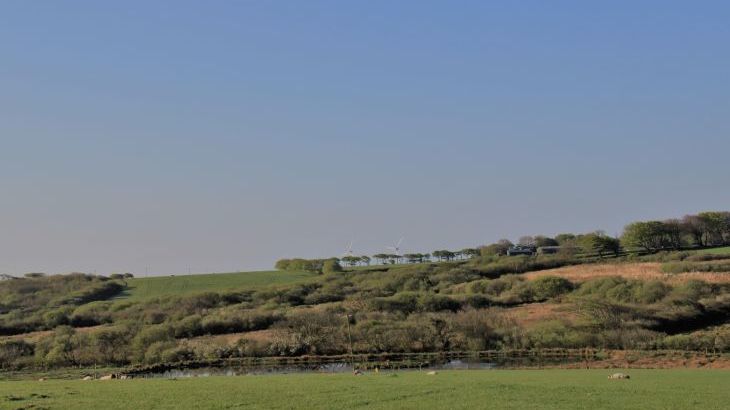 Higher Forda - Photo 25