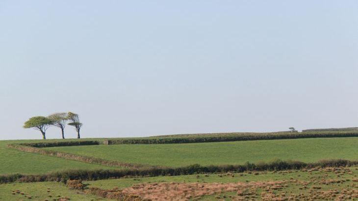 Higher Forda - Photo 26