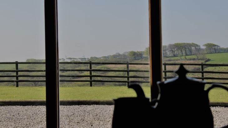 Higher Forda - Photo 8