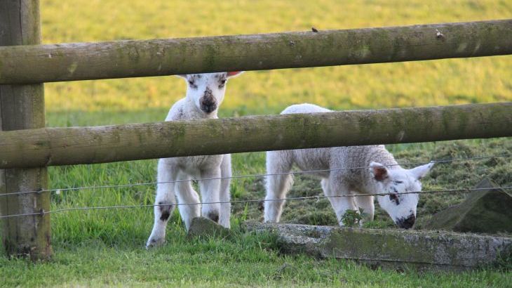 Higher Forda - Photo 27