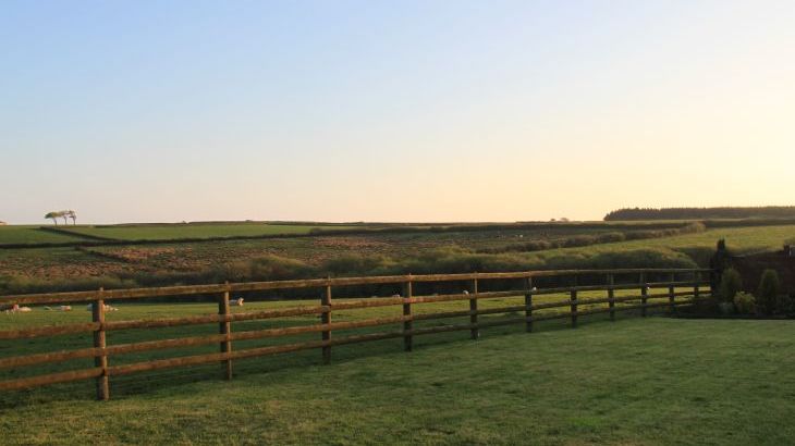 Higher Forda - Photo 28