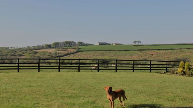 Higher Forda - Photo 31