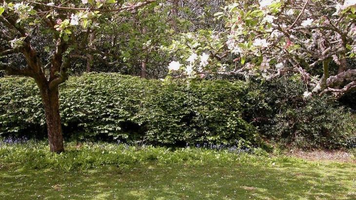 Gun Hill Cottage - Photo 15