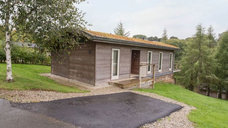 6 Lake View - Photo 1