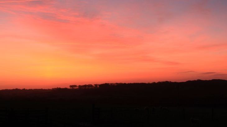 Higher Forda - Photo 32