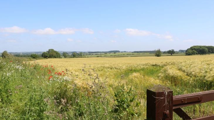 Bell House Barn - Photo 38