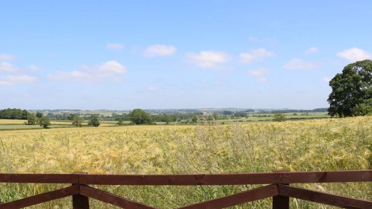 Bell House Barn - Photo 40