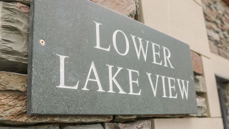 Lower Lake View - Photo 1