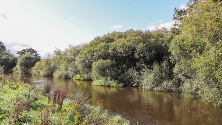 Rhandregynwen Hall - Photo 78