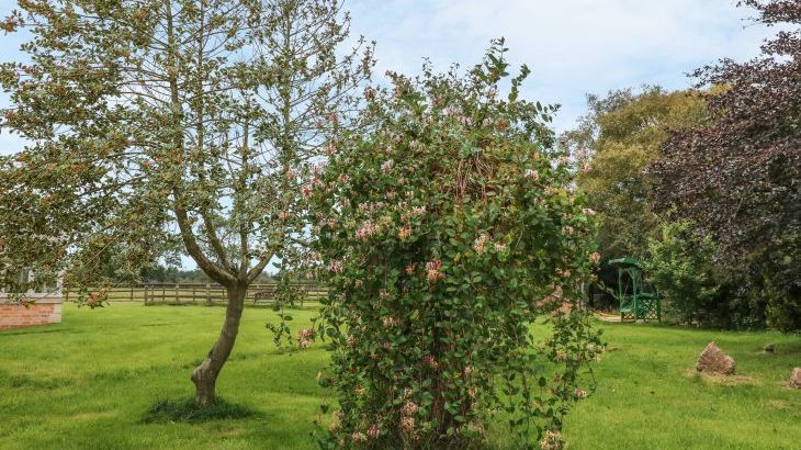 Orchard Barn - Photo 11