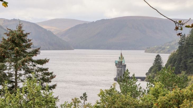 Rhandregynwen Hall - Photo 80