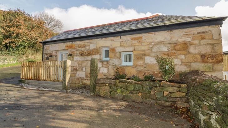 The Bull Pen - Photo 1