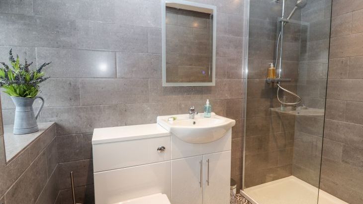 Cut Moch, Plas Moelfre Hall Barns - Photo 7