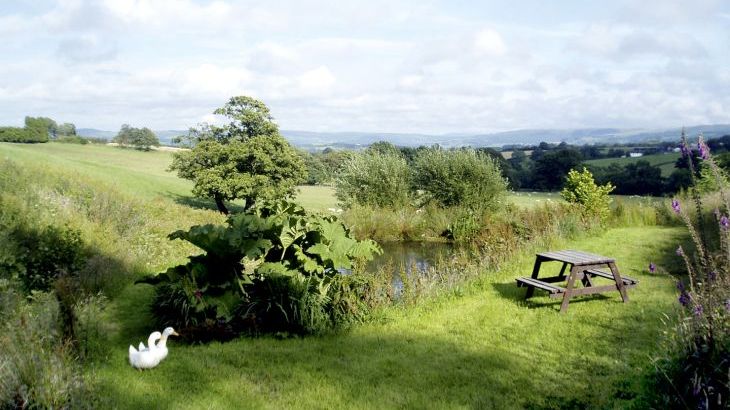 Cwm Derw Cottage - Photo 10