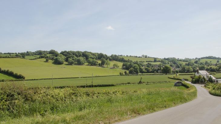 Shepherd's Rest - Photo 33