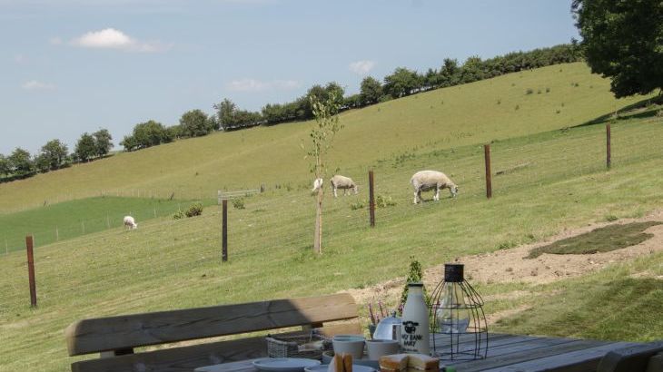 Shepherd's Rest - Photo 27