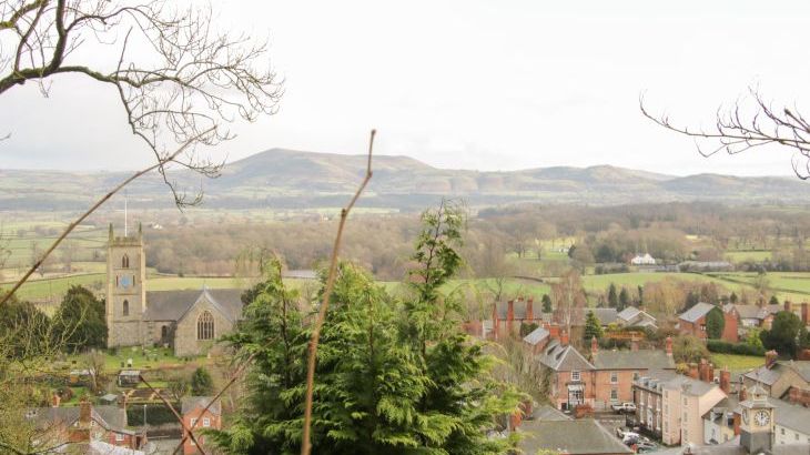 Shepherd's Rest - Photo 35