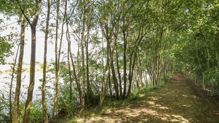 The Croft - Photo 28