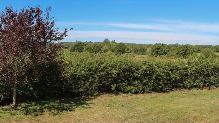 Groomes Country House - Photo 67