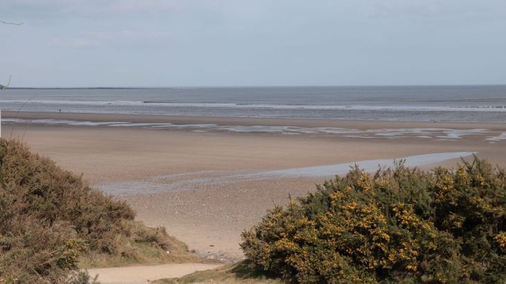 Buck Place - Photo 13