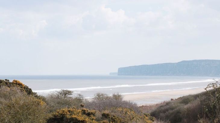 Buck Place - Photo 14