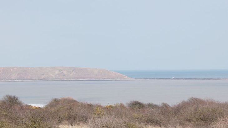 Buck Place - Photo 15