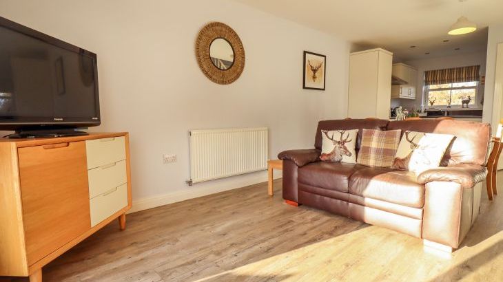 Buck Place - Photo 3