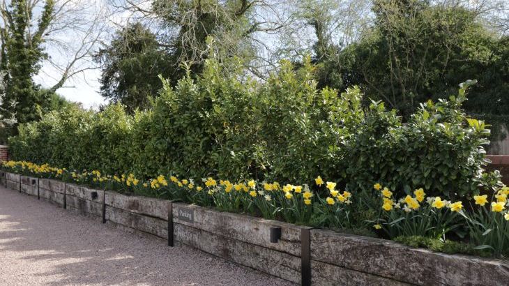 The Piggery - Photo 36