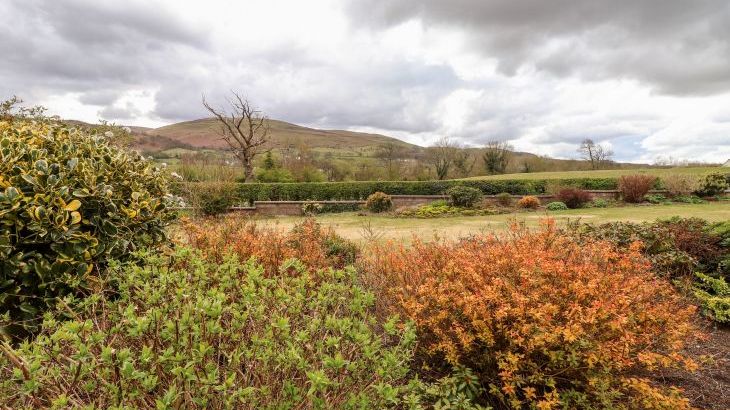 Dale View - Photo 15