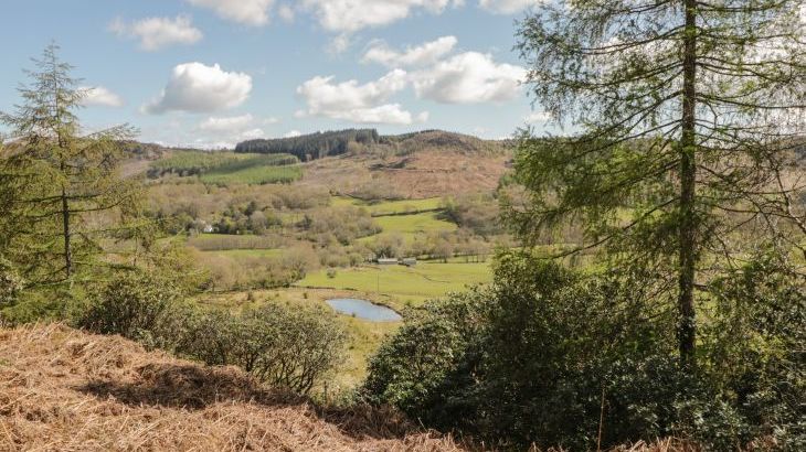 Green Acre - Photo 26