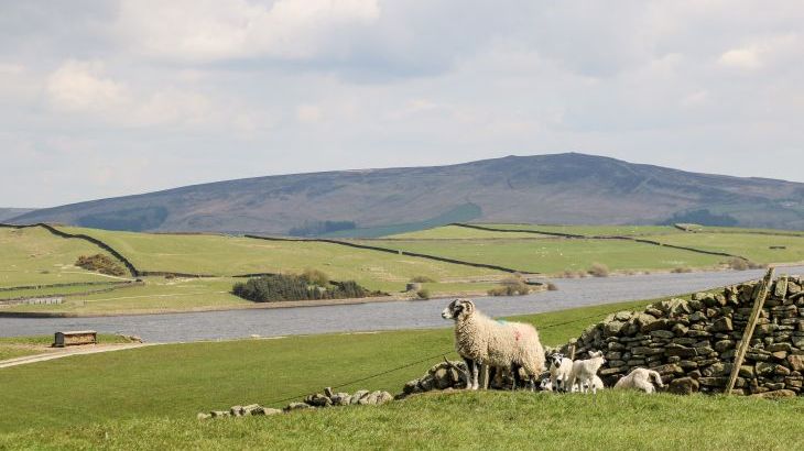 Herriots House - Photo 26