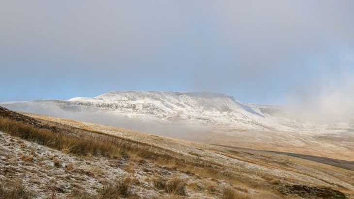 Herriots House - Photo 29