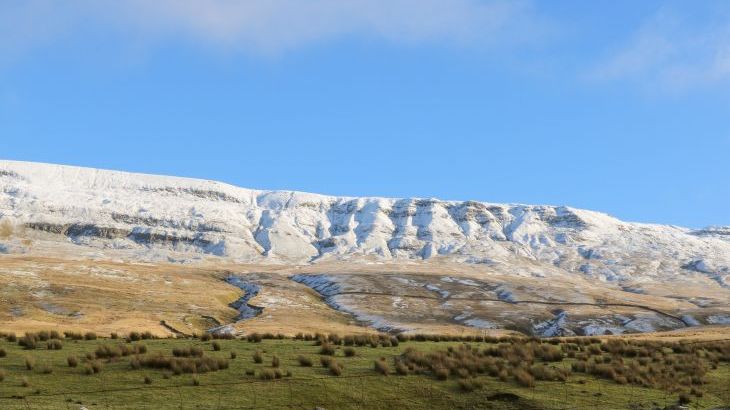 Herriots House - Photo 30