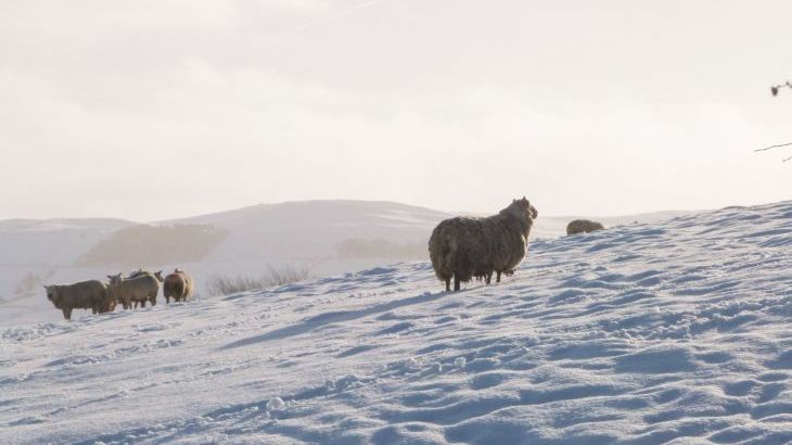 Herriots House - Photo 31