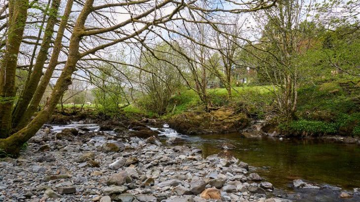 The Old Water Mill - Photo 54