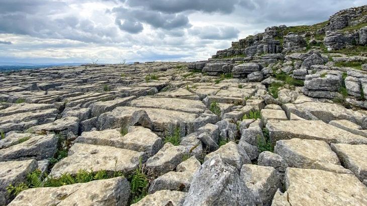 Herriots House - Photo 24