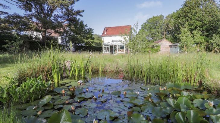 Wood Glen Cottage - Photo 18