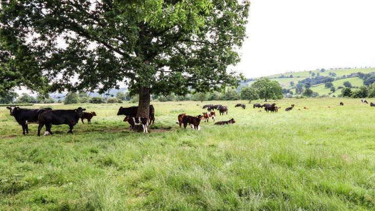 Bodaioch Hall - Photo 88