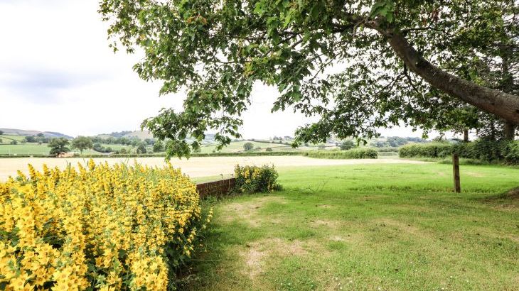 Bodaioch Hall - Photo 89