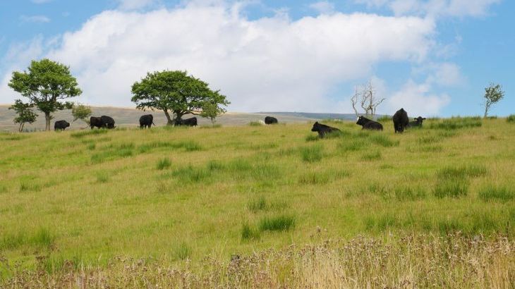 Bowland Barn - Photo 39