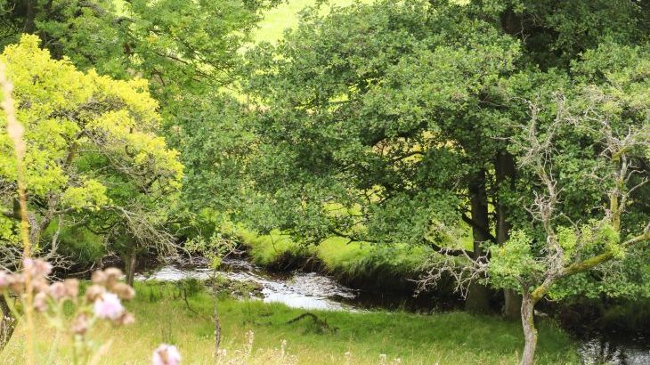 Bowland Barn - Photo 40