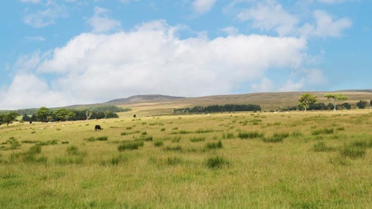 Bowland Barn - Photo 41