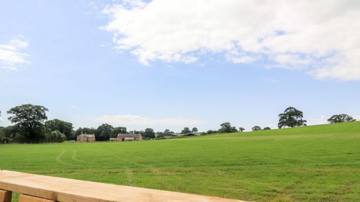 Box Tree Escapes - Photo 22