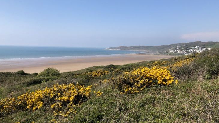 Valley View - Photo 53