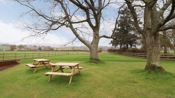 Bodaioch Hall - Photo 81