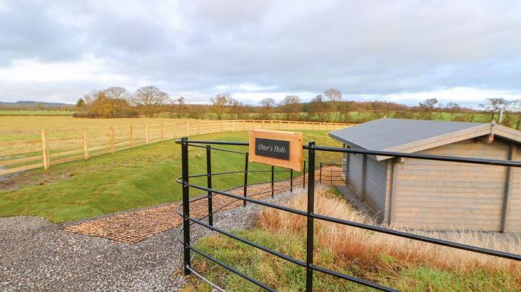 Otters Holt - Photo 21