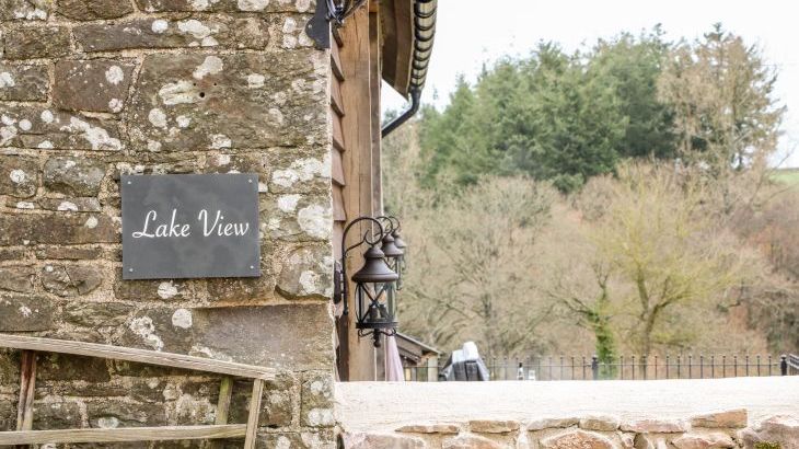 Lake View - Photo 44